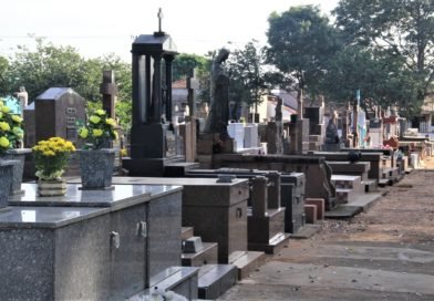 Governo de SP sanciona lei que autoriza o sepultamento de cães e gatos em jazigos familiares