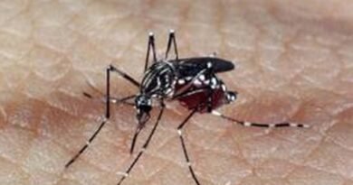 Prefeitura confirma mais duas mortes por dengue em Itu