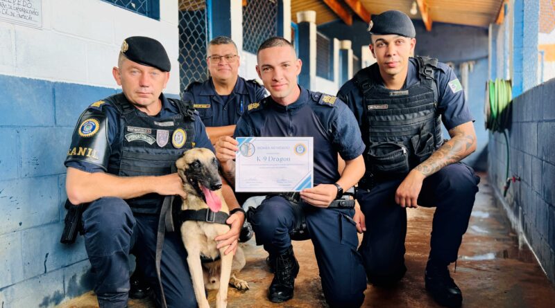 Cão mais premiado da Guarda se aposenta após 9 anos de serviço