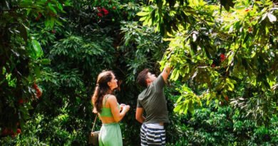 Turismo rural cresce no Brasil e atrai viajantes em busca de natureza e tranquilidade