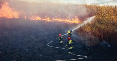Itu abre série de seminários sobre enfrentamento a incêndios