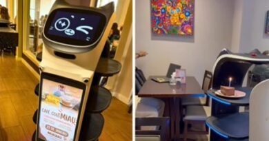Primeiro Café com Gato do Brasil ganha atendente robô em Sorocaba