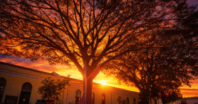 DJs realizam evento durante o Carnaval no Museu FAMA, em Itu