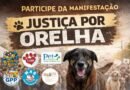 Justiça por Orelha: manifestação contra maus-tratos a animais acontece em Itu