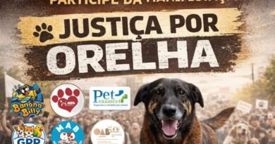 Justiça por Orelha: manifestação contra maus-tratos a animais acontece em Itu