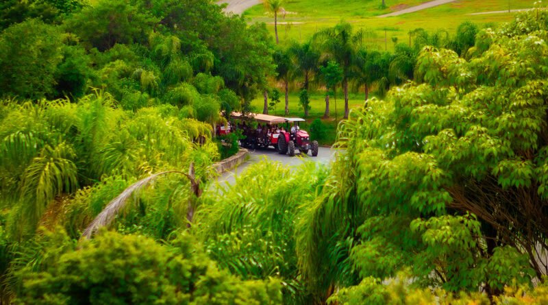 Parque Maeda será sede do Sou + Agro