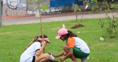 Prefeitura realiza plantio com alunos da rede pública