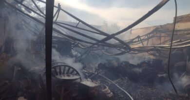 Incêndio atinge empresa em Salto; quatro cães morreram Incêndio atinge empresa em Salto; quatro cães morreram