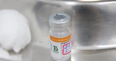 Vacina da dengue do Instituto Butantan mantém 80,5% de eficácia 