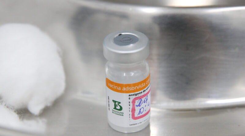 Vacina da dengue do Instituto Butantan mantém 80,5% de eficácia 