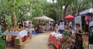 EcoArt terá participação do Ceama+ neste domingo