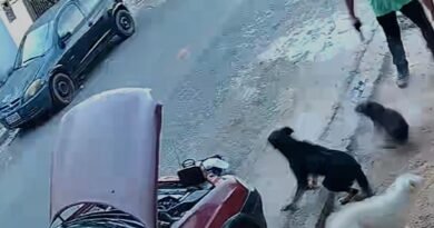 Vereador de Itu atira contra cachorros e caso ganha repercussão nacional Vereador de Itu atira contra cachorros e caso ganha repercussão nacional