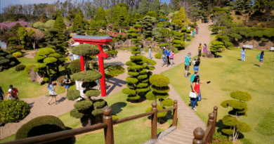 Feriado de Tiradentes: Parque Maeda é opção de lazer e contato com a natureza
