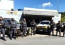 Cães Ozzy e Iron ajudam TOR e Canil a apreender haxixe em  Itu
